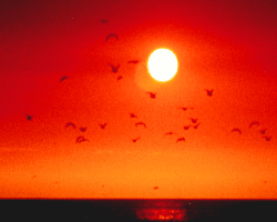 sun